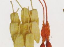 點(diǎn)擊查看詳細(xì)信息<br>標(biāo)題：取氣樣球膽 閱讀次數(shù)：267